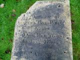 image of grave number 548300